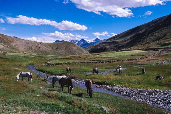 Grazing pastures, Dumla, 4100m, Spiti to Ladakh Trek