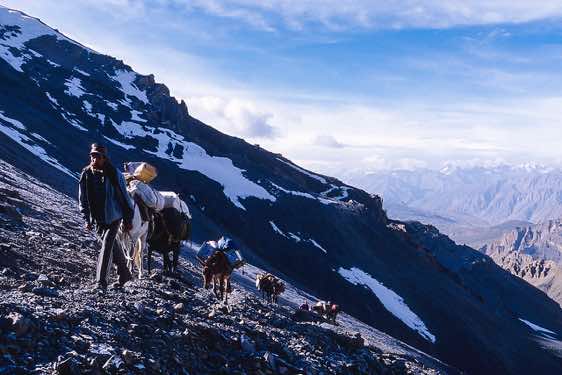Horses near the top of Parang La pass, Spiti to Ladakh Trek