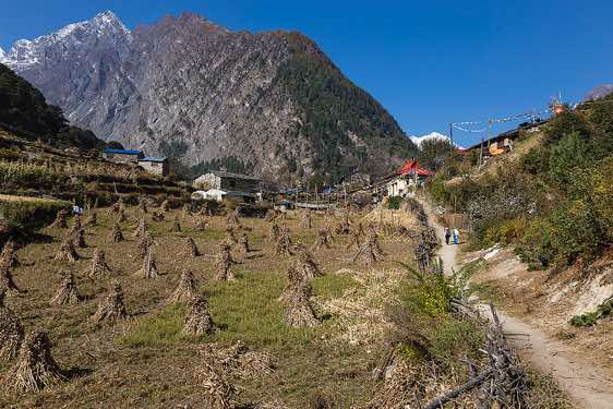 Fields along the trail, Buri Gandaki Valley