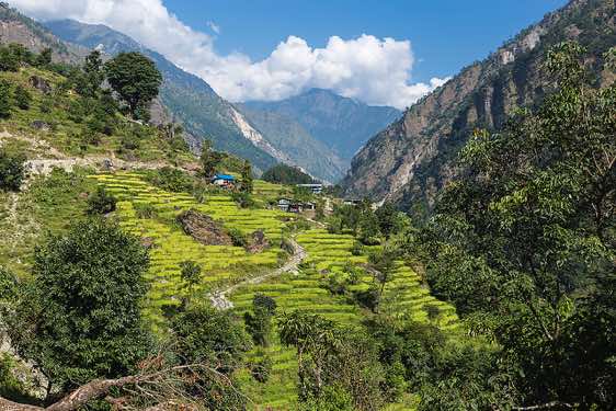 Buri Gandaki Valley