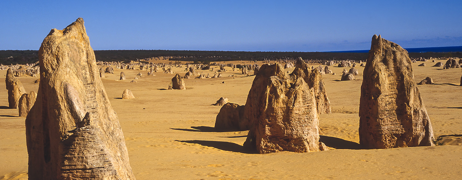 The Pinnacles, huge limestone pillars, Nambung National Park, Western Australia