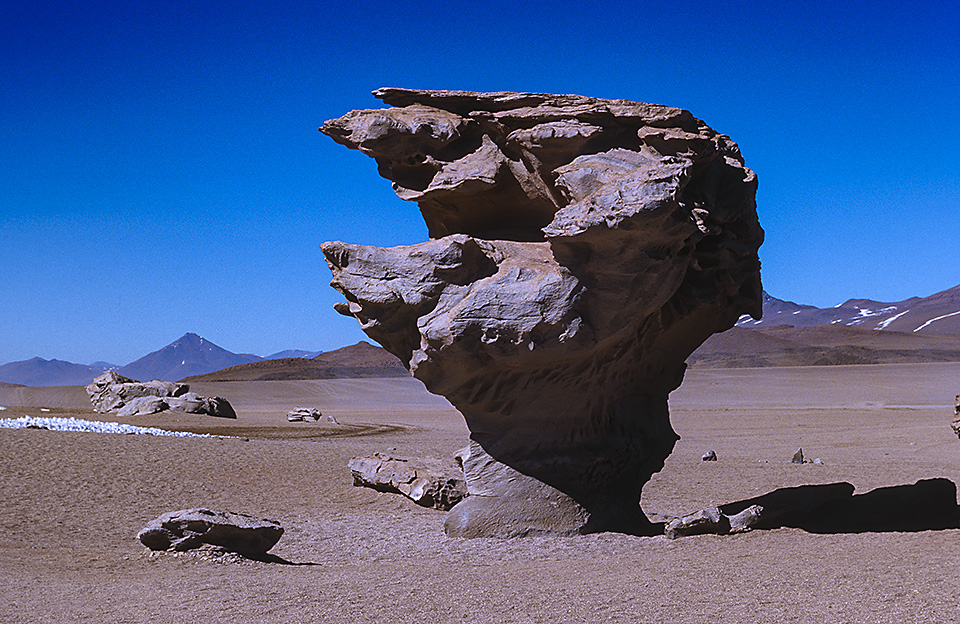 Árbol de Piedra (stone tree), rock formation carved by wind-blown sand, Bolivian Altiplano