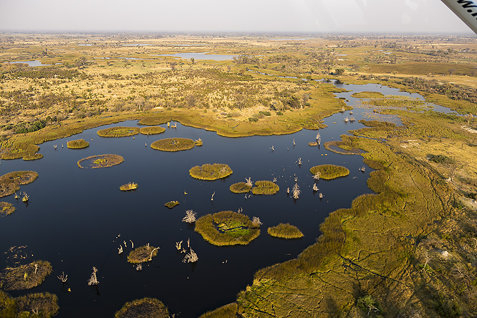 Birdseye view of the Okavango Delta near Maun, Botswana