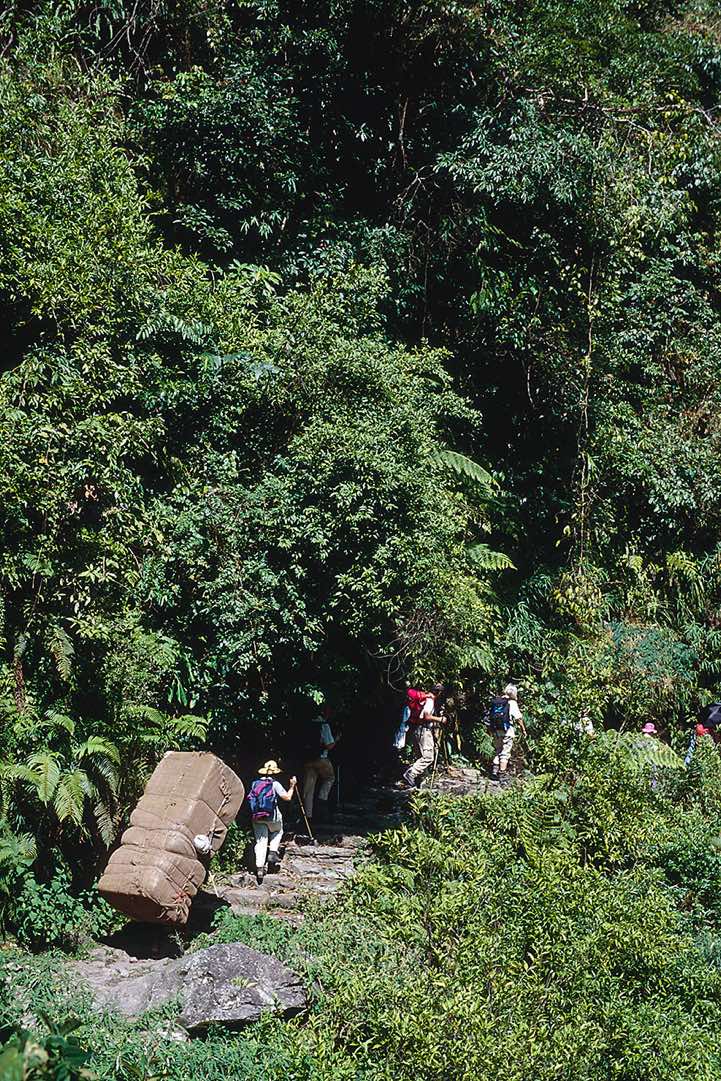 A porter virtually disappears under his heavy load