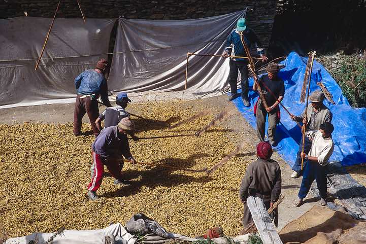 Men at work, Manang Valley