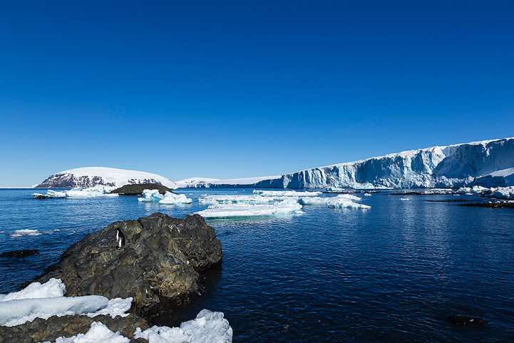Brown Bluff, Tabarin Peninsula
