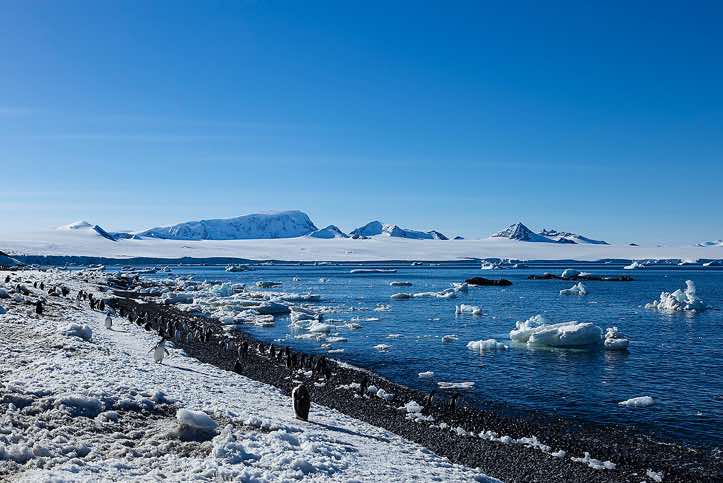 Brown Bluff, Tabarin Peninsula, Antarctica