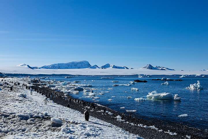 Landing site, Brown Bluff, Tabarin Peninsula