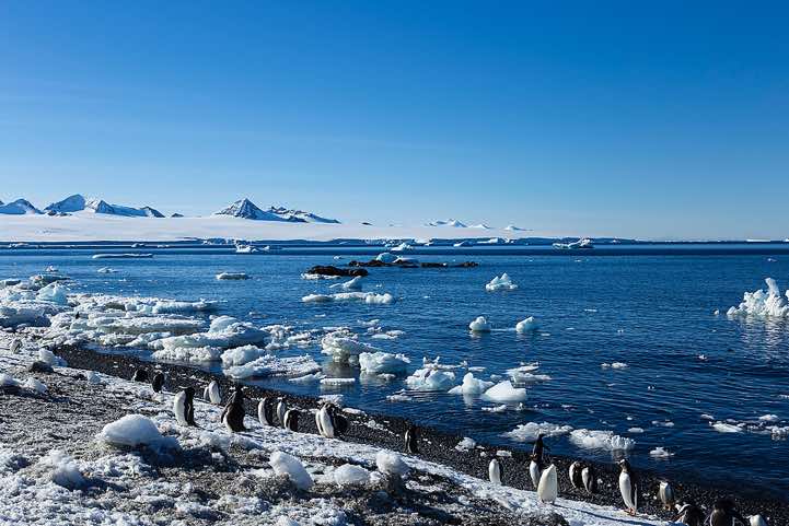 Landing site, Brown Bluff, Tabarin Peninsula