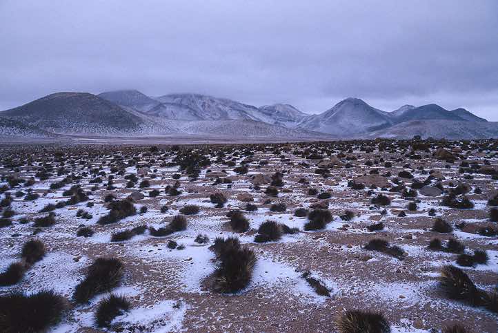 Snow in the desert