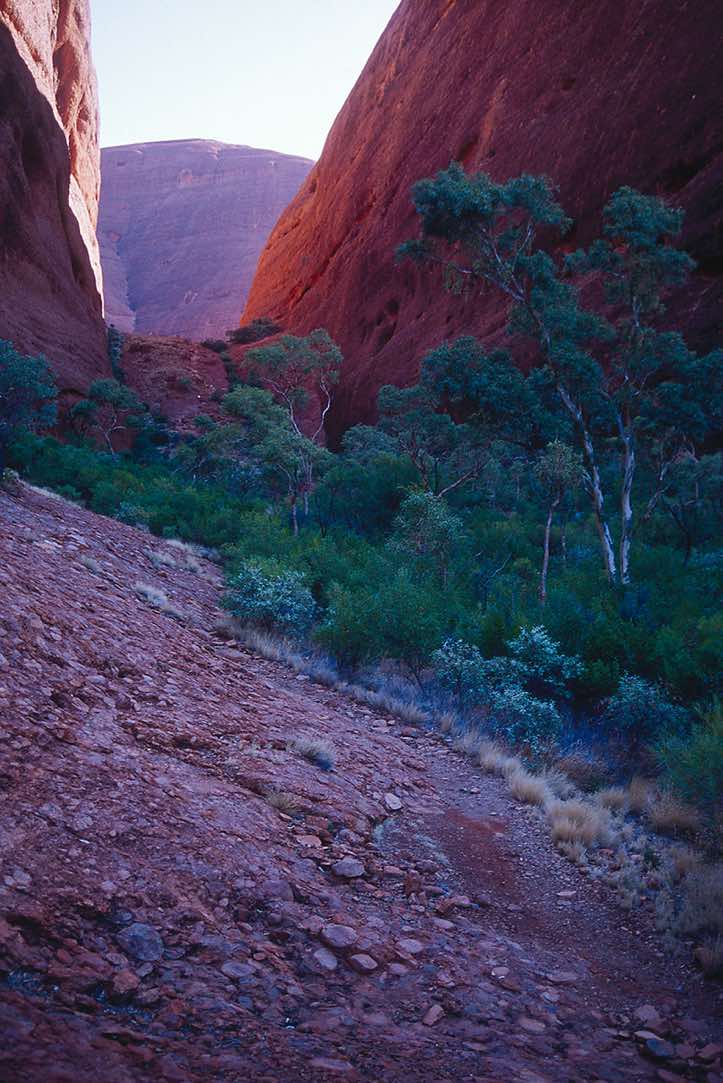 Exploring the Olgas (Kata Tjuta), Kata Tjuta National Park, Northern Territory