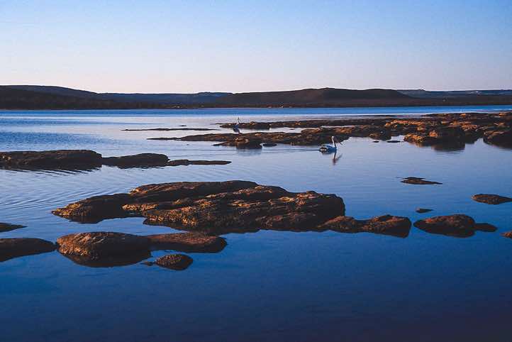 Pelicans near Kalbarri, Kalbarri National Park, Western Australia