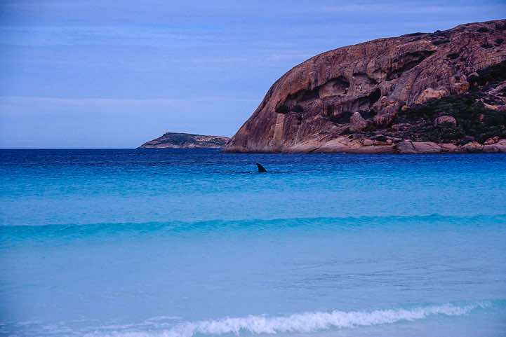 Lucky Bay, Cape Le Grand National Park, Western Australia