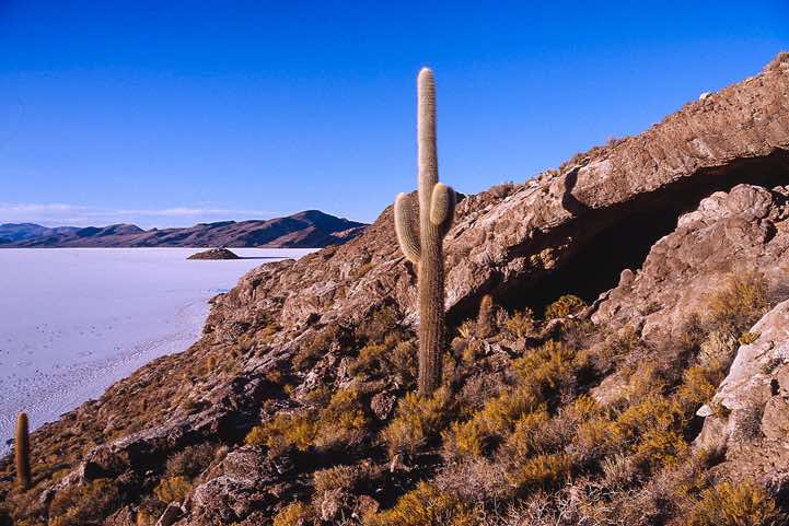 Island on the Salar de Uyuni