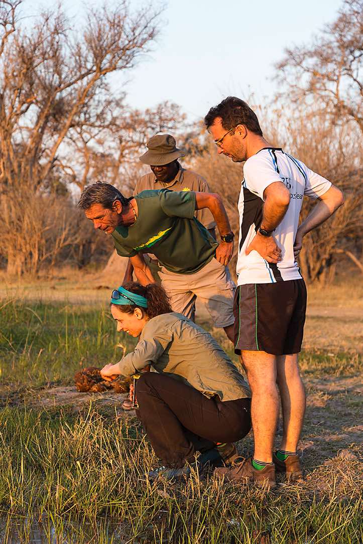 Moremi Game Reserve at sunset