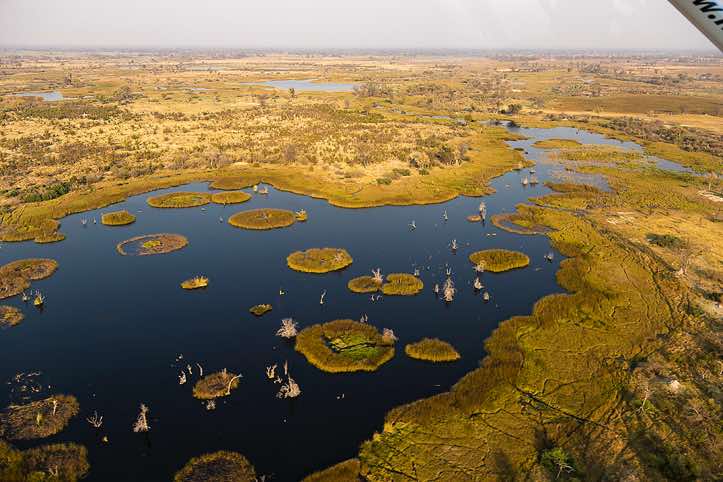 Birdseye view of the Okavango Delta