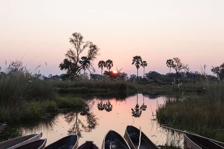 Sunset, Okavango Delta