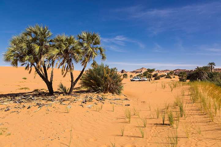 Lake Bokou, Ounianga Serir series of lakes, Ennedi region, Sahara desert, northern Chad