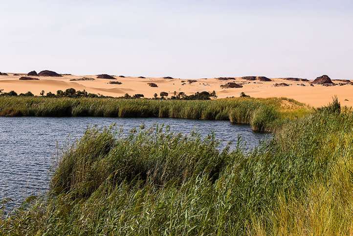 Lake Bokou, Ounianga Serir series of lakes, Ennedi region, Sahara desert, northern Chad. Two thirds of the surface of the 13 m deep freshwater lake are covered by a metre-thick floating reed mat