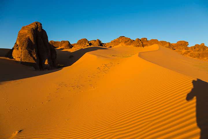 Sand dune near campsite in late afternoon light