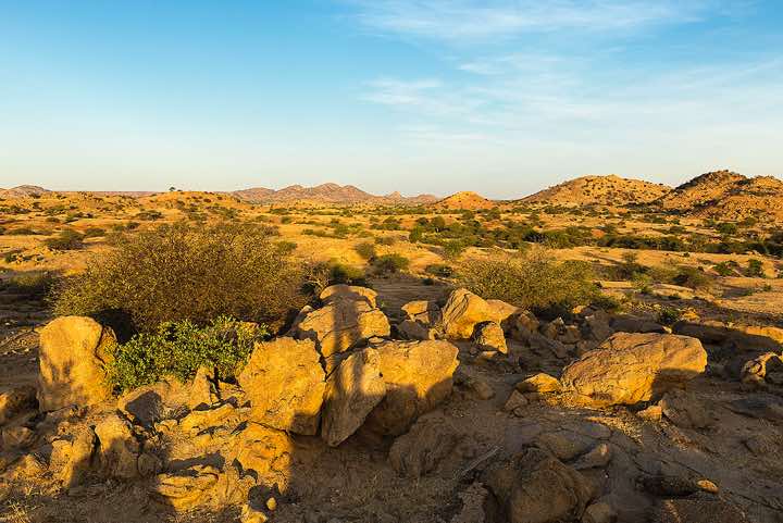Campsite in late afternoon light