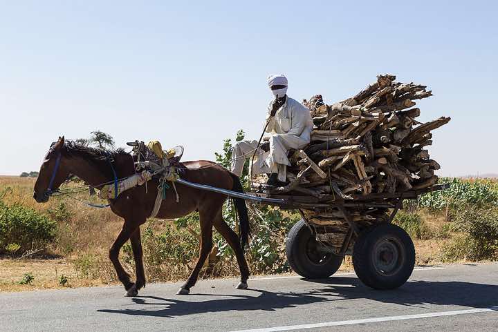 Approaching horse cart