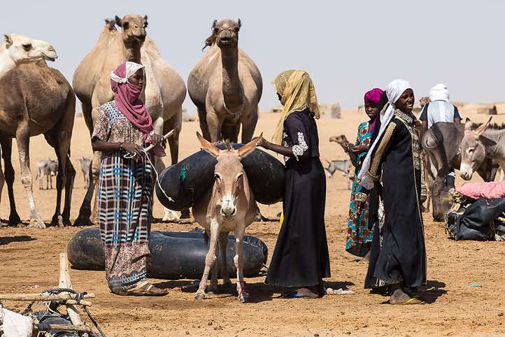A donkey with his heavy load at a well where nomads fill their water hoses and canisters