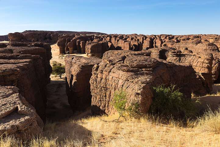 Weathered sandstone pinnacles, Labyrinthe d'Oyo, Ennedi Mountains, northeastern Chad