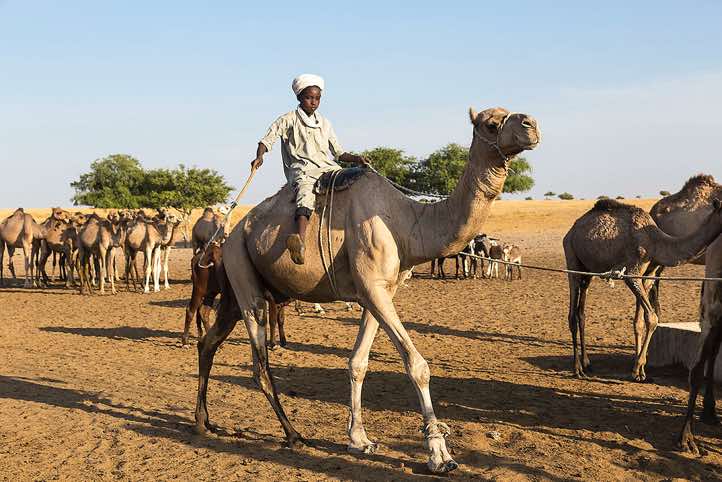 Nomad boy on a camel at a well