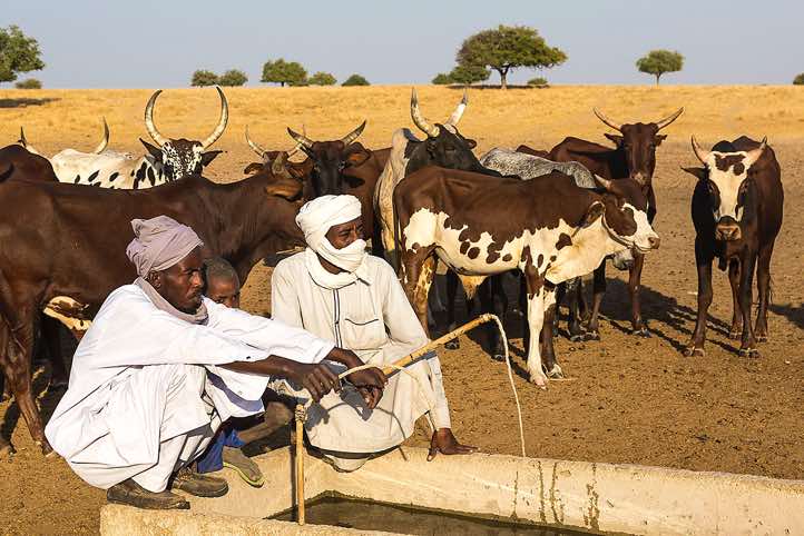 Nomads at a well in the desert