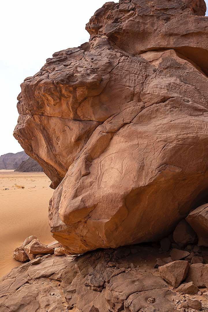 Cow carving, Tibesti region