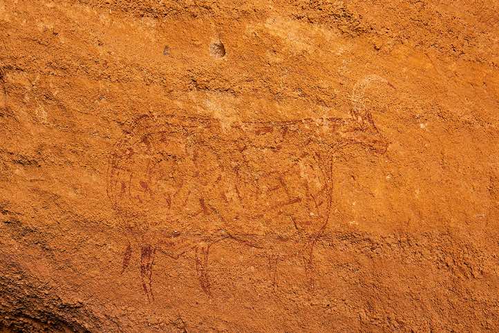 Rock painting of a (red) cow with grid-style coat pattern markings and (white) horns curved forward, with the tip of the horn infilled in red, Gaora Hallagana, Ennedi, northeastern Chad