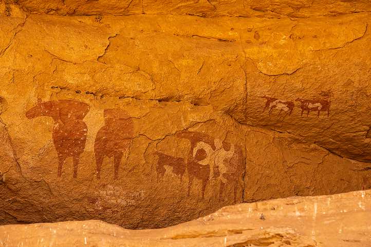 Rock painting showing (red) infilled cows with (white) horns, Ennedi, northeastern Chad