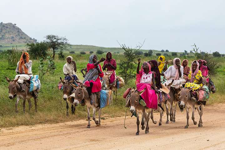 Group of girls on donkeys, near Abéché