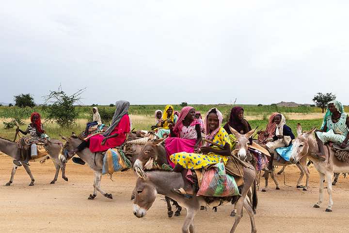 Group of girls on donkeys, near Abéché