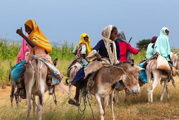 Group of girls on donkeys, near Abéché