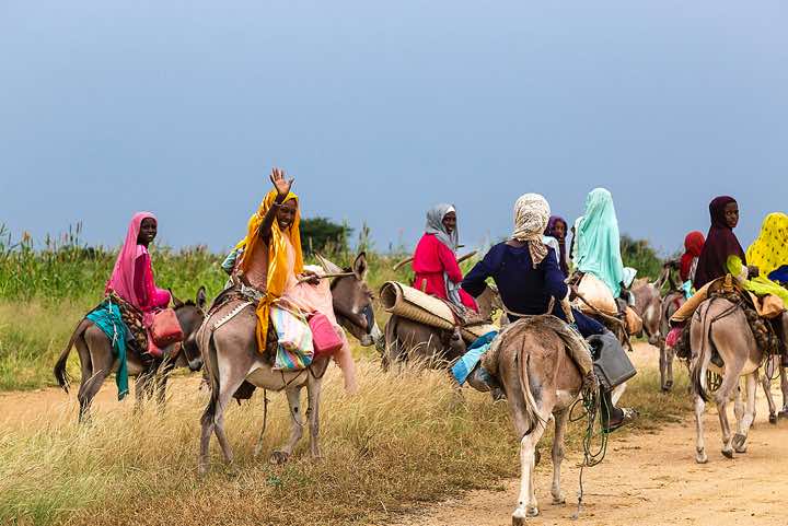Group of girls on donkeys, near Abéché