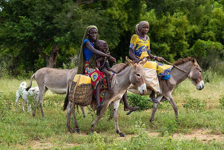 Woman with a young child on a donkey