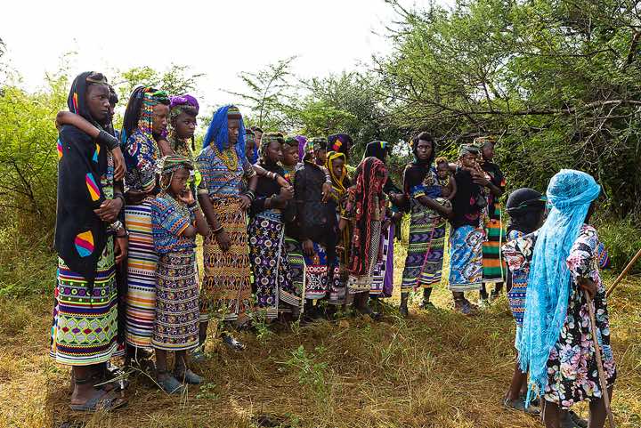 Wodaabe (Bororo) women of marriageable age closely observe the men's dances during the Gerewol festival