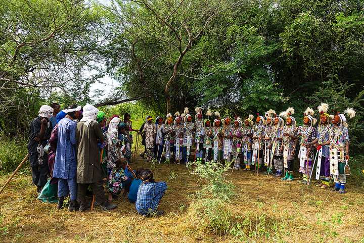 Wodaabe (Bororo) men line up and put on their best show to attract the women's attention, Gerewol festival