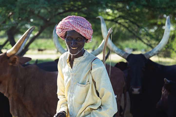 Cattle herder, seen en route from N'Djamena to Massakory
