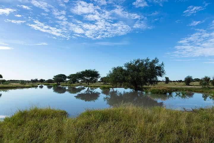 Plenty of water - remnant of the rainy season