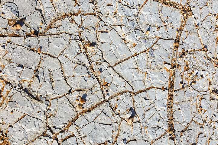 Close up of the desert floor 