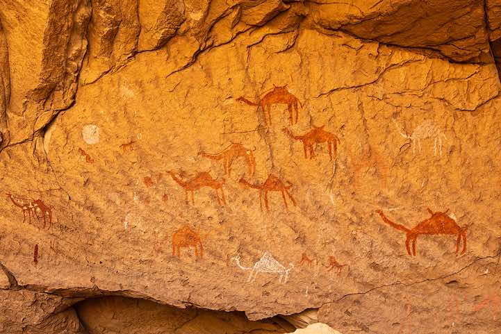 Rock painting, depicting a herd of camels, Marmar Tassili
