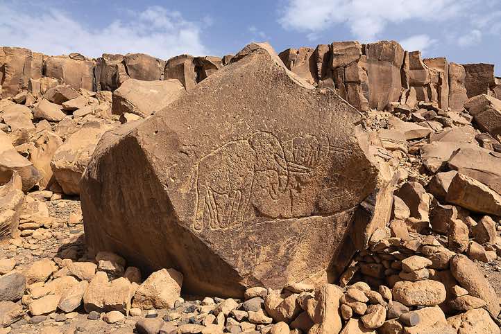 Elephant engraving at Gonoa rock art site, near Bardaï, Tibesti region