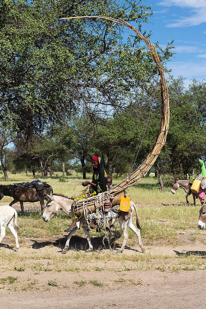 Fulani or Fulbe woman on the move on a packed donkey