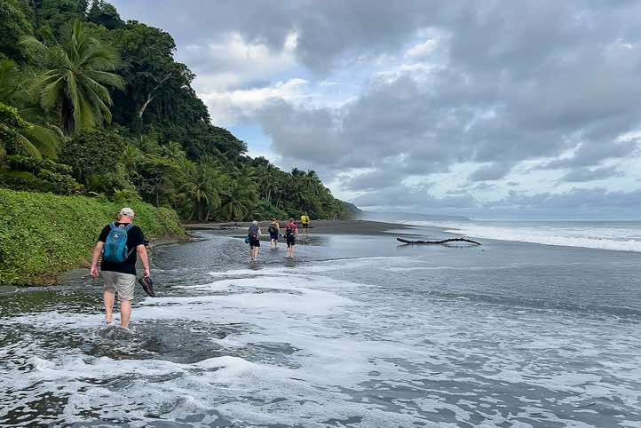 Hiking group walking on the beach, Corcovado National Park, Osa Peninsula, Puntarenas Province