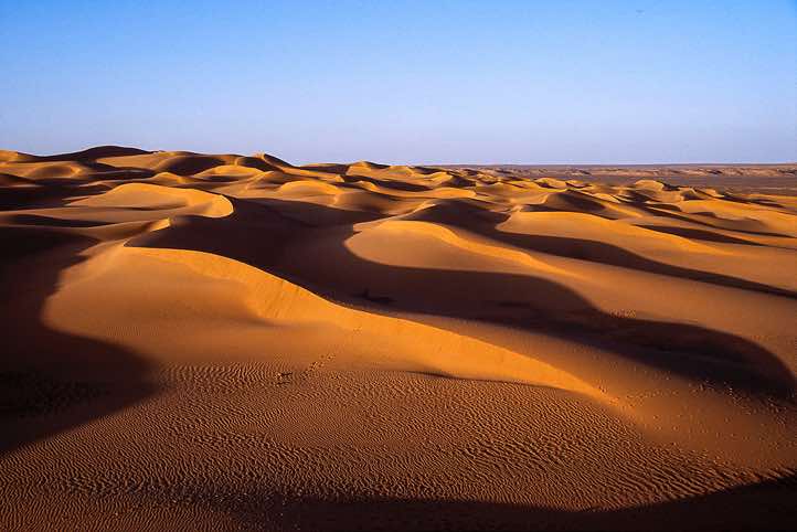 Dunes stretching to the horizon