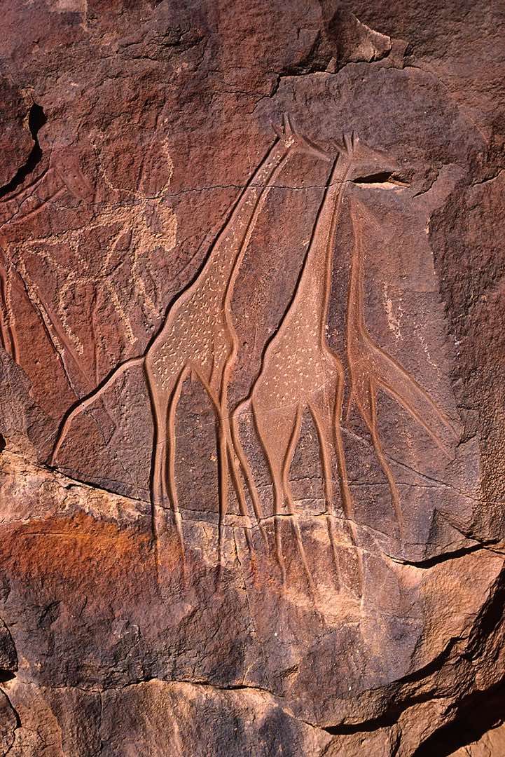 Giraffes rock carving, Wadi Matkhandush, Messak Settafet