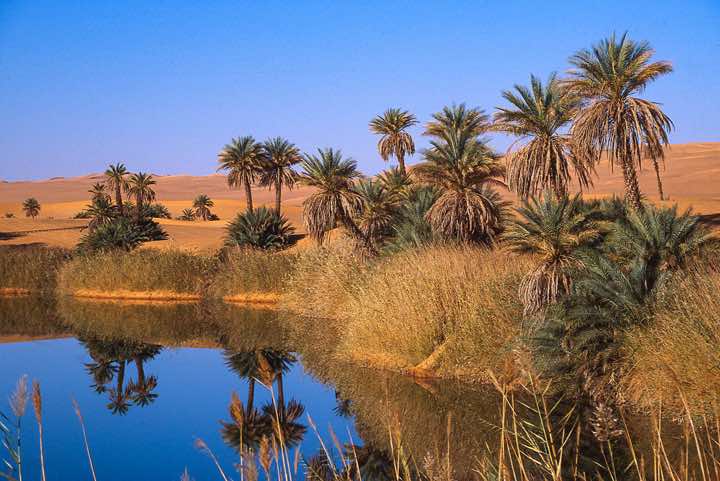 Um el Ma is one of the lakes in the Ubari Sand Sea (Edeyen Ubari) which still has plenty of (salty) water